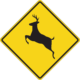 How to lower your risk for a deer collision in Ohio